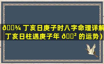 🌾 丁亥日庚子时八字命理详解（丁亥日柱遇庚子年 🌲 的运势）